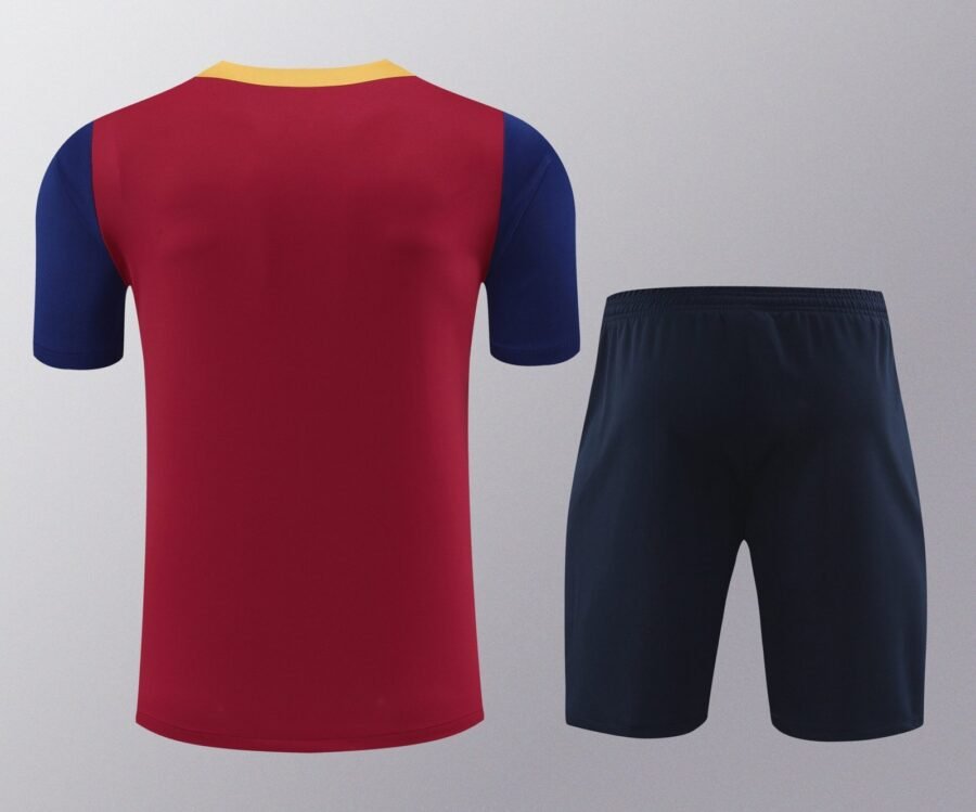 FC Barcelona 2024/25 Kit Entrenamiento - Imagen 2